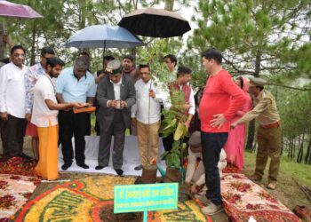 जीवन का आधार है वृक्ष – डाॅ. शांडिल