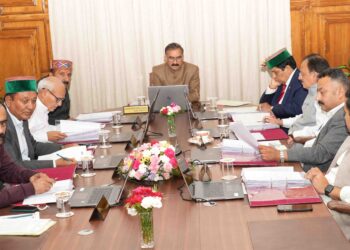 बंजर पहाड़ियों में पौधारोपण के लिए मंत्रिमंडल ने मंजूर की योजना, 251 पद भरेंगे