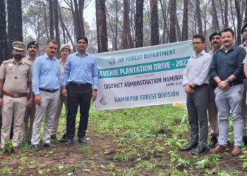 पक्का भरो से अणु और पीडब्ल्यूडी कालोनी तक सडक़ की दोनों ओर लगेंगे फूलों से लकदक पेड़-पौधे