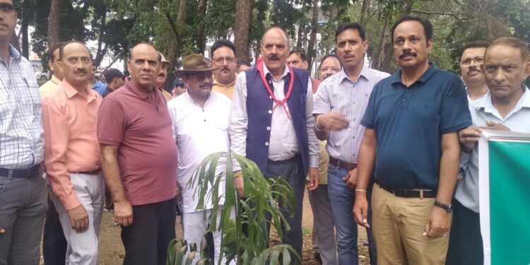 कुलदीप सिंह पठानिया ने हमीरपुर कालेज में किया पौधारोपण अभियान का शुभारंभ