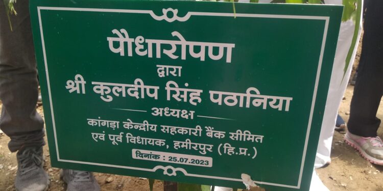 कुलदीप सिंह पठानिया ने हमीरपुर कालेज में किया पौधारोपण अभियान का शुभारंभ