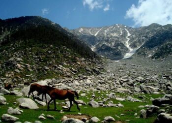 Monsoon Season : कांगड़ा जिला में 15 सितंबर तक ट्रैकिंग पर प्रतिबंध