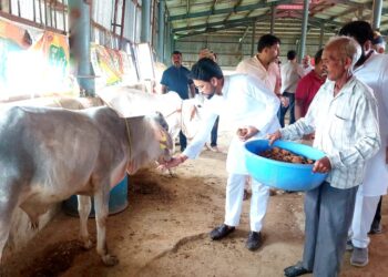 हिमाचल वासियों को 70 प्रतिशत रोजगार : अनुराग ठाकुर