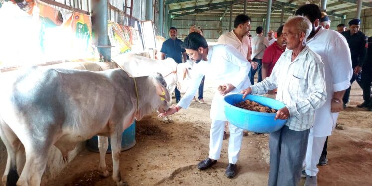 हिमाचल वासियों को 70 प्रतिशत रोजगार : अनुराग ठाकुर