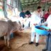 हिमाचल वासियों को 70 प्रतिशत रोजगार : अनुराग ठाकुर