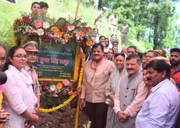 कुल्लू वृत  द्वारा आज कुल्लू के निकट शेता फाट पीज में आज 74वां वृत स्तरीय वन मोहत्सव मनाया