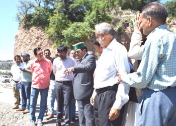 आपदा की घड़ी में प्रदेश सरकार प्रभावितों के साथ – डाॅ. शांडिल