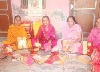 जाहू में मिठाई के डिब्बे और भ्याड़ में बैग बनाकर अच्छी कमाई कर रही हैं महिलाएं