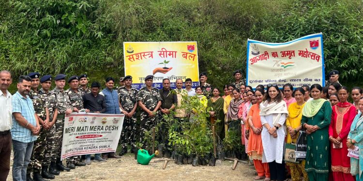 “मेरी माटी मेरा देश” अभियान के पहले चरण में स्वतंत्रता सेनानियों और सुरक्षा बलों को 2.33 लाख से अधिक शिलाफलकम समर्पित किए गए