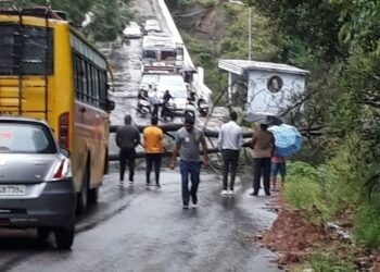पालमपुर नगरी मार्ग पेड़ गिरने से पिछले 2 घंटे से जाम लगा