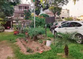 चंडीगढ़ नगर निगम की कार्रवाई: 115 सार्वजनिक पार्कों से अवैध कब्जा हटाया गया