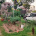 चंडीगढ़ नगर निगम की कार्रवाई: 115 सार्वजनिक पार्कों से अवैध कब्जा हटाया गया