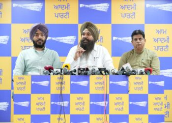 पिछली सरकारों ने नशा माफिया को दिया सरकारी संरक्षण – आप