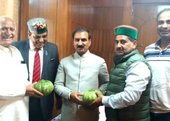 जैविक खेती के लिए युवाओं को प्रेरित कर रहे विधायक केवल सिंह पठानिया