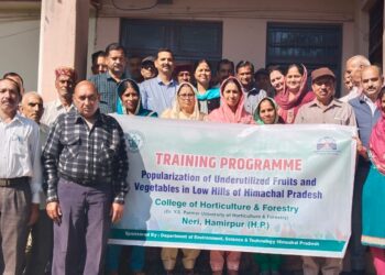 बरसाती प्याज की नई किस्म भी तैयार करें किसान