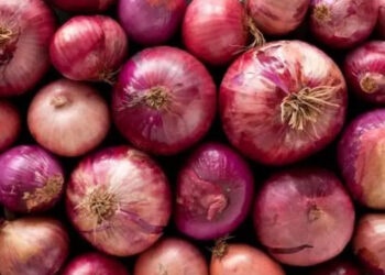 Govt to procure additional 2 lakh tons of onion for the buffer, over and above the 5 lakh tons already procured