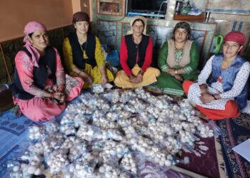 जापान अंतर्राष्ट्रीय सहयोग एजेंसी यानी जाइका वाणिकी परियोजना से पहाड़ की महिलाओं को रोजगार के बेहतर अवसर