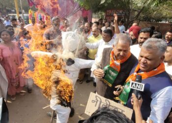 भाजपा ने नीतीश कुमार की अभद्र टिप्पणी के खिलाफ किया रोष  प्रदर्शन पुतला फूंका