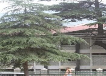 घटिया गुणवत्ता वाली खाद्य सामग्री बेचने पर लगाया 185000 रुपये का जुर्माना