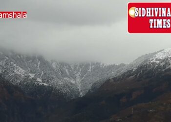 धौलाधार पर्वत श्रंखृला पर हुआ ताजा हिमपात ठंड, के चपेट मे आई कांगड़ा घाटी