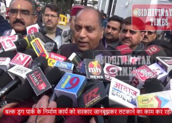 शिमला : बल्क ड्रग पार्क के निर्माण में देरी से सदन में हंगामा