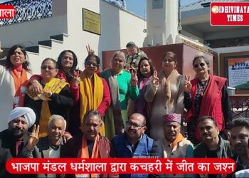 राज्यसभा सीट जीतने की खुशी में भाजपा मंडल धर्मशाला द्वारा कचहरी में जीत का जश्न मनाया