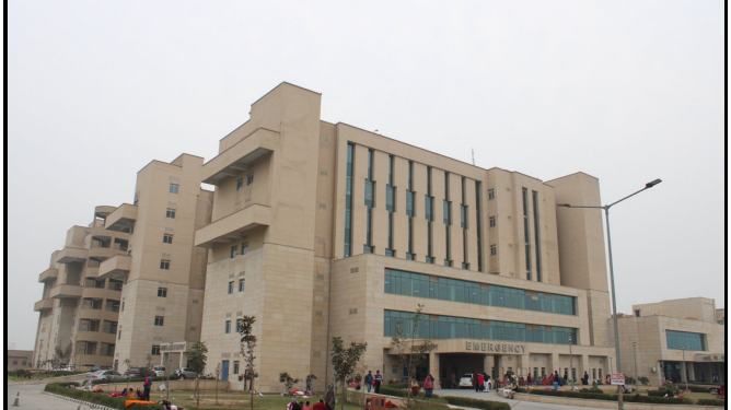 प्रधानमंत्री नरेंद्र मोदी ने राजकोट, भटिंडा, रायबरेली, कल्याणी और मंगलागिरी में 5 एम्स राष्ट्र को समर्पित किए