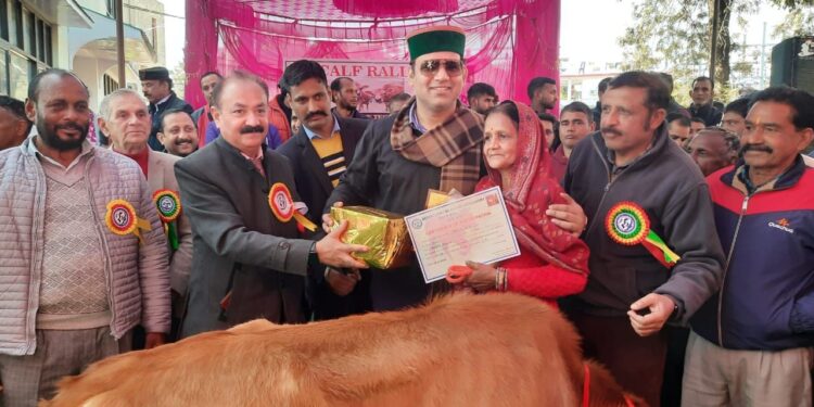 काफ रैली प्रतियोगिता में बतौर मुख्य अतिथि पहुंचे बाली