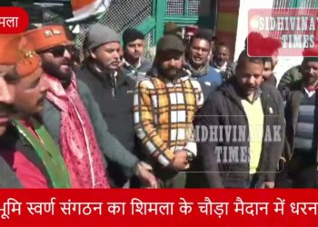 EWS में संशोधन के साथ प्रदेश में भांग की खेती को लीगल करने की मांग