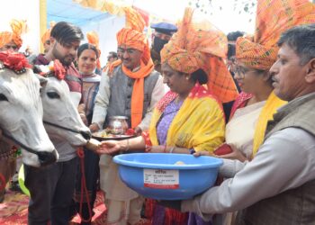 भव्य शोभा यात्रा के साथ राज्य स्तरीय नलवाड़ी मेले का शुभारम्भ