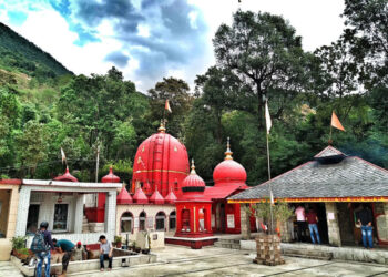 धर्मशाला और शिमला भाजपा में शिवरात्रि पर्व की धूम