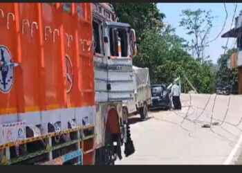हमीरपुर से नालटी जाने वाले मार्ग पर एक ट्रक ने बिजली बोर्ड की लाइनों को अपनी चपेट में ले लिया
