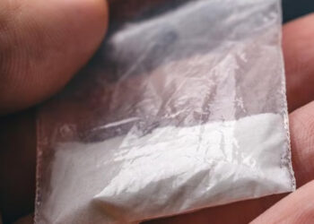 рдмреИрдЬрдирд╛рде рдкреБрд▓рд┐рд╕ рдиреЗ рдкрдВрдЬрд╛рдм рдХреЗ рдпреБрд╡рдХ рд╕реЗ рдмрд░рд╛рдордж рдХрд┐рдпрд╛ 4 рдЧреНрд░рд╛рдо рдЪрд┐рдЯреНрдЯрд╛