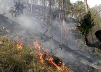 “वनों में आग की घटनाओं पर रोक एवं नियंत्रण में सहयोग करेंगे आपदा मित्र”