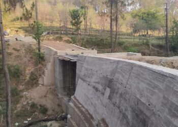 बाली ने 5 साल से बंद पड़े पुल का काम फिर से शुरू कराया