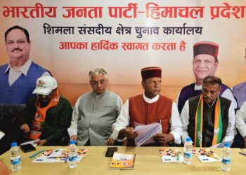 बिंदल ने राहुल गांधी पर बोला तीखा हमला