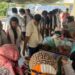 किंग ऑफ विटामिन सी है स्पीति का ‘सीबकथॉर्न’