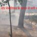 वॉर मेमोरियल के जंगल में लगी भीषण आग