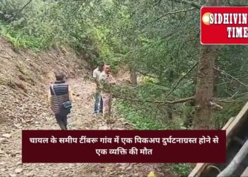 चायल के समीप पिकअप दुर्घटनाग्रस्त, एक की मौत