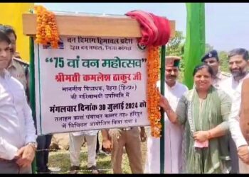 देहरा में आंवला का पौधा रोपित कर की वन महोत्सव की शुरूआत : कमलेश ठाकुर