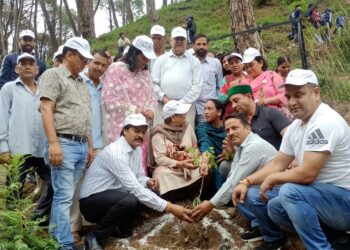 धर्मशाला के सौंदर्यकरण लिए नगर निगम और स्मार्टसिटी प्रबंधन की पहल: 6000 पौधा रोपित करने का अभियान