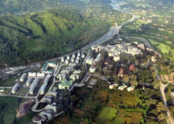 Tanda is the first state-run medical college to start kidney transplants: Dr Milap