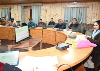 Lahaul Spiti Administration Plans Humane Stray Dog Control, Animal Birth Control Center to Be Set Up in Udaipur