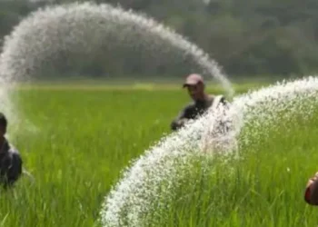 There is no increase in fertilizer prices, the central government is bearing the subsidy burden.