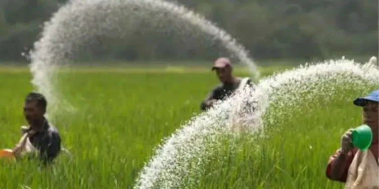 There is no increase in fertilizer prices, the central government is bearing the subsidy burden.