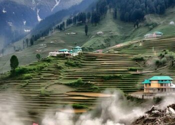 मंडी जिले में 3.6 तीव्रता का भूकंप, गोहर-जंजैहली क्षेत्र में महसूस हुए झटके