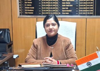 उच्च न्यायालय के निर्देशों के तहत थर्मोकोल उत्पादों पर पूर्ण प्रतिबंध