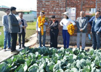 जायका समीक्षा मिशन का हिमाचल दौरा, कांगड़ा में दिखे सकारात्मक परिणाम