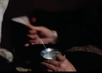 पशु चिकित्सकों की नई खोज, बांझ गायें बनेंगी फिर से उत्पादक