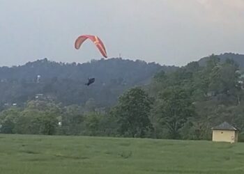 घटना का विश्लेषण: सूझबूझ और अनुभव ने टाला बड़ा हादसा